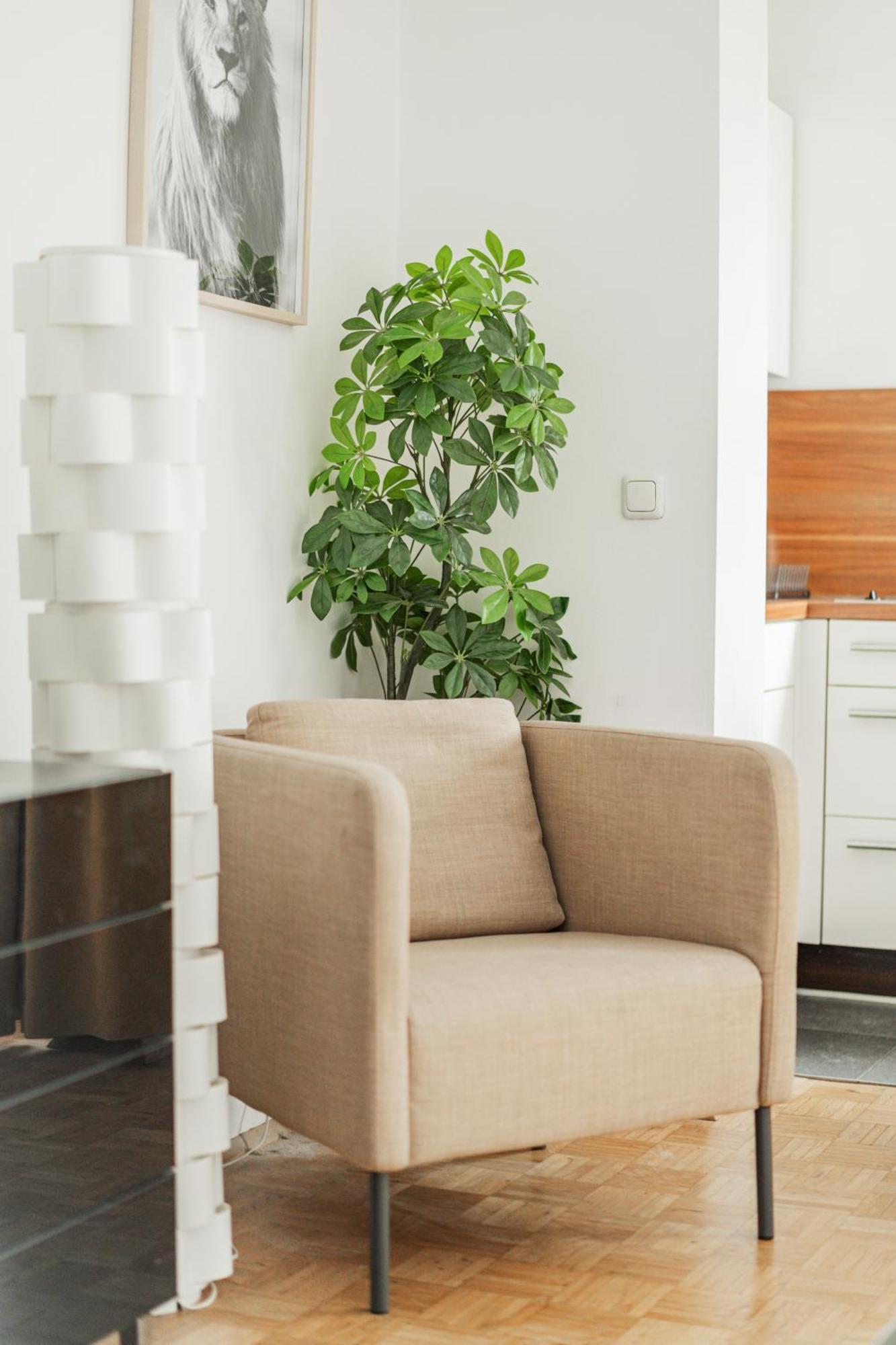 Appartement Next To Karlskirche
